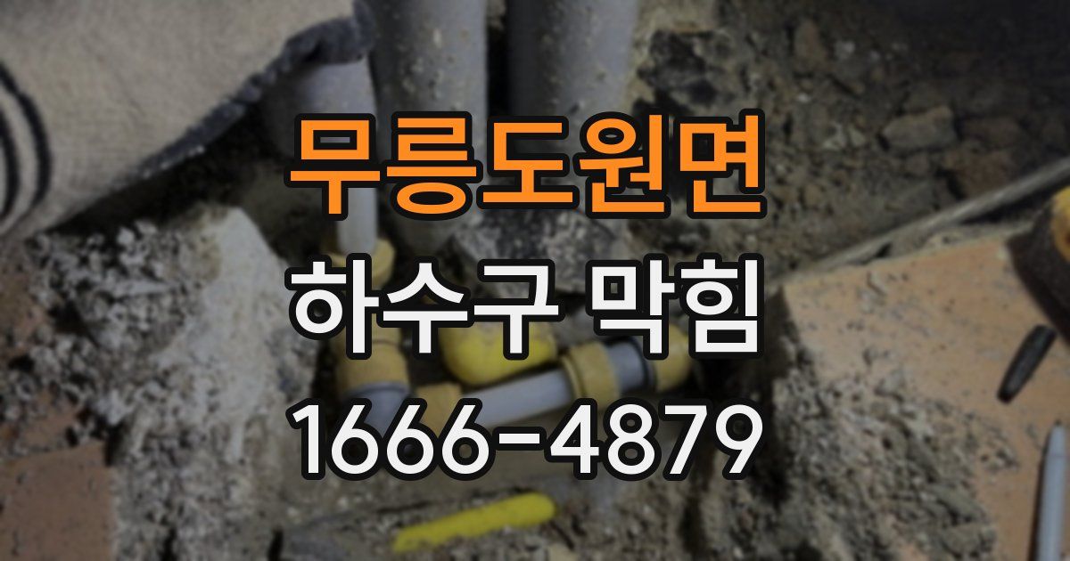 무릉도원면 하수구 막힘