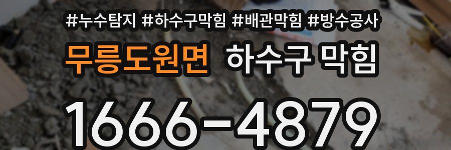 무릉도원면 하수구 막힘
