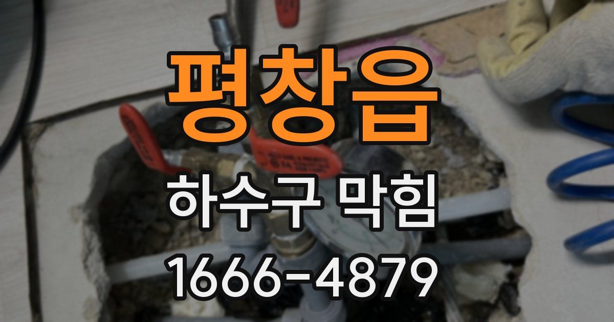 평창읍 하수구 막힘