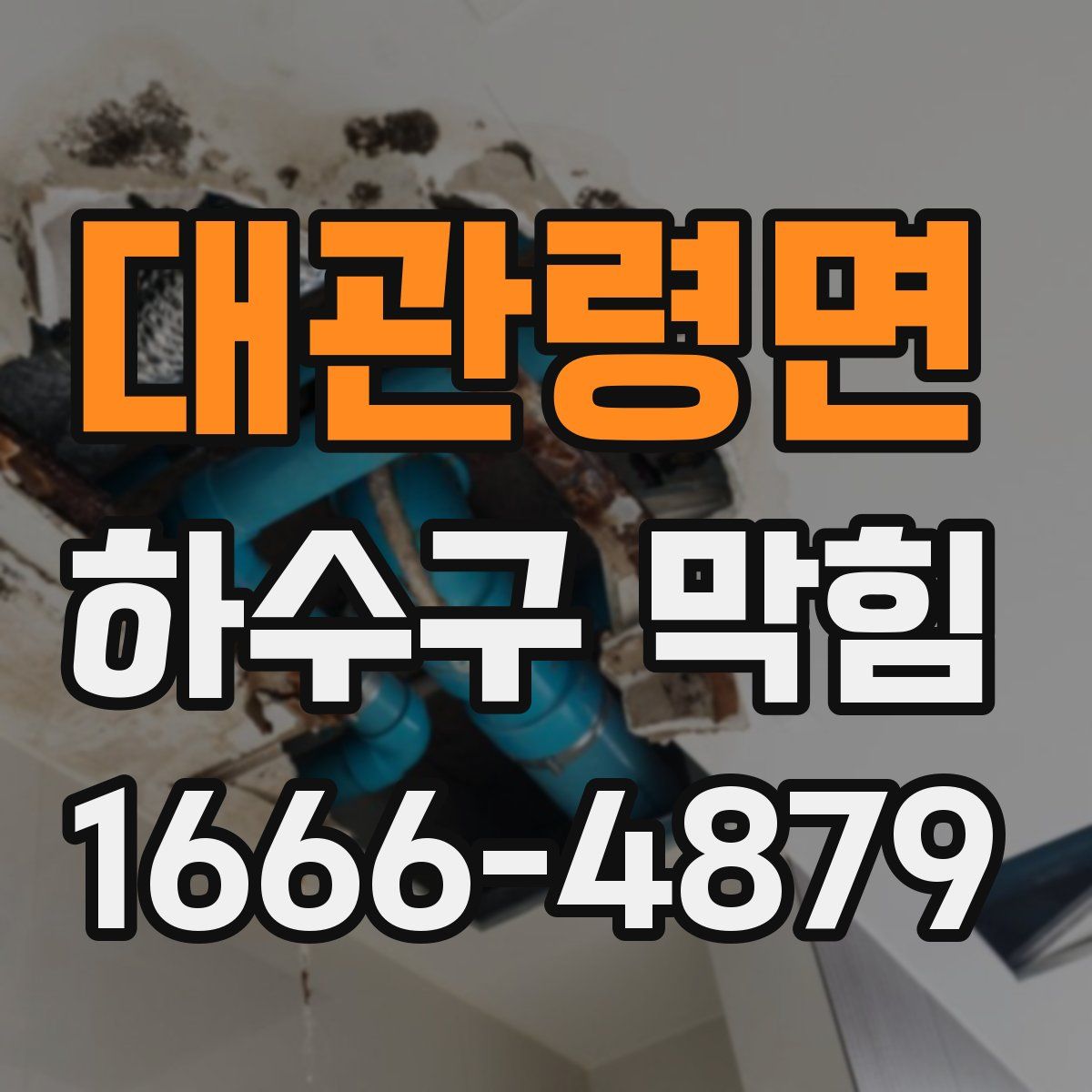 대관령면 하수구 막힘