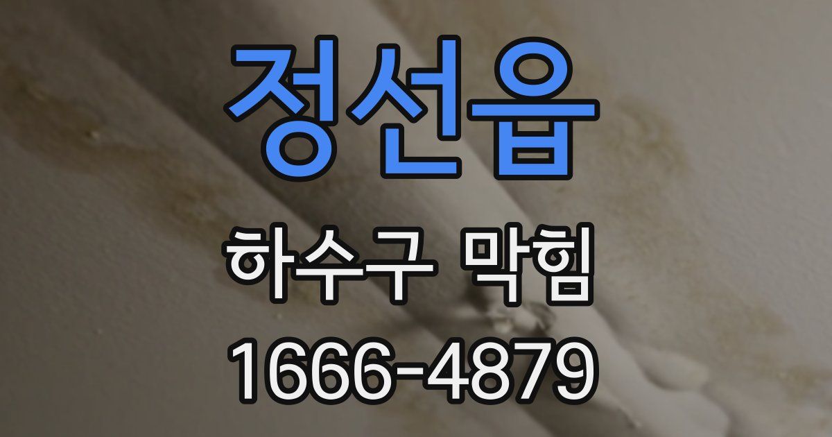 정선읍 하수구 막힘
