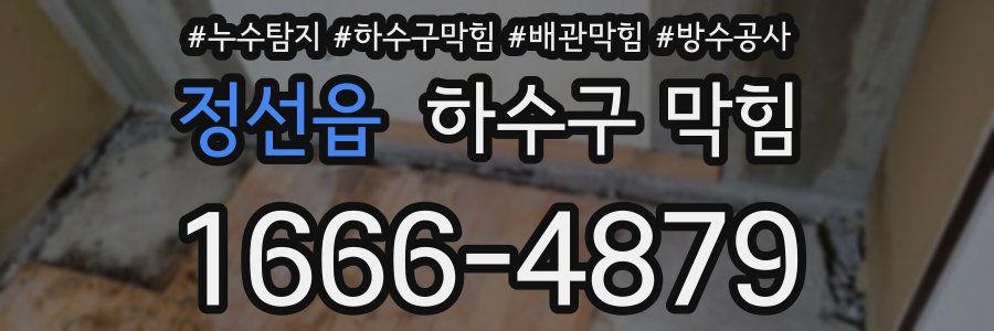 정선읍 하수구 막힘