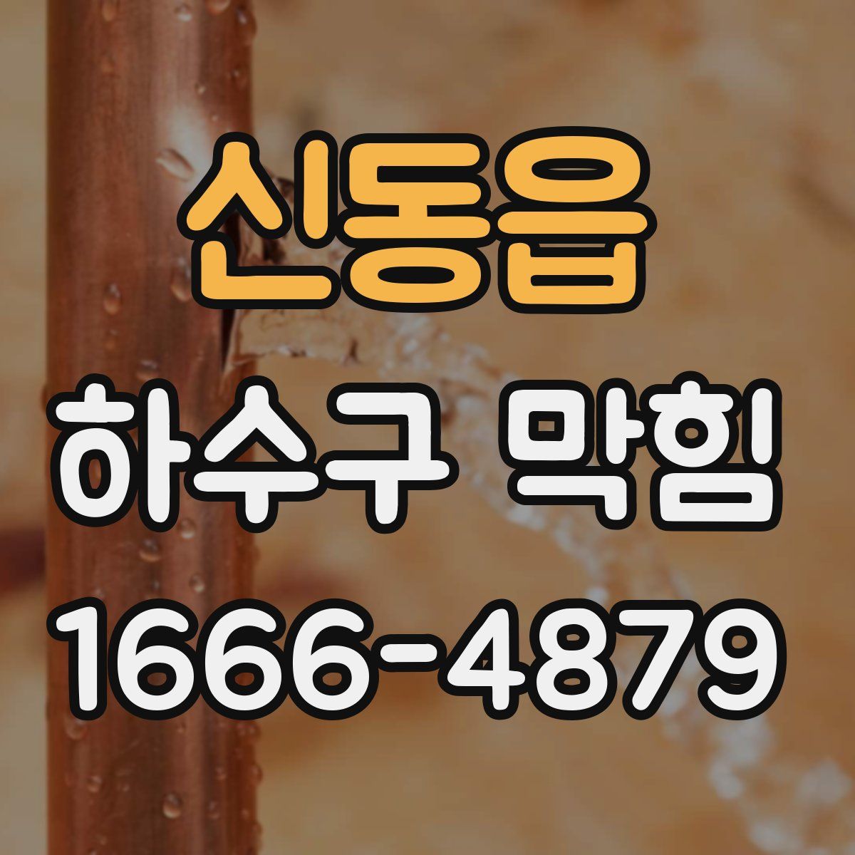 신동읍 하수구 막힘