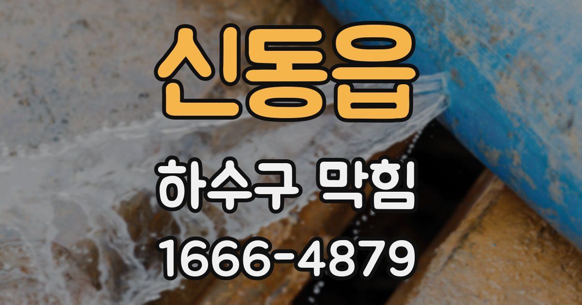 신동읍 하수구 막힘