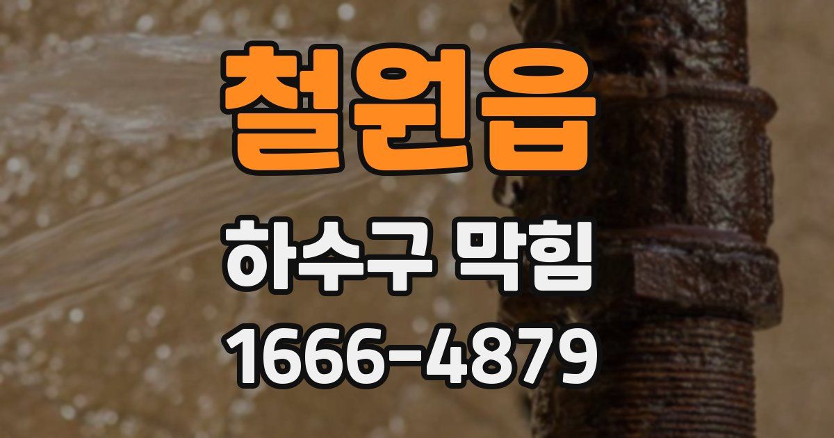 철원읍 하수구 막힘