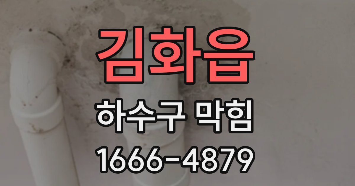 김화읍 하수구 막힘