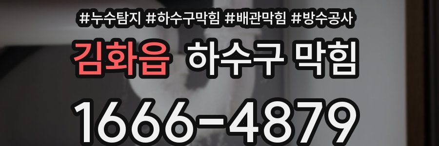 김화읍 하수구 막힘