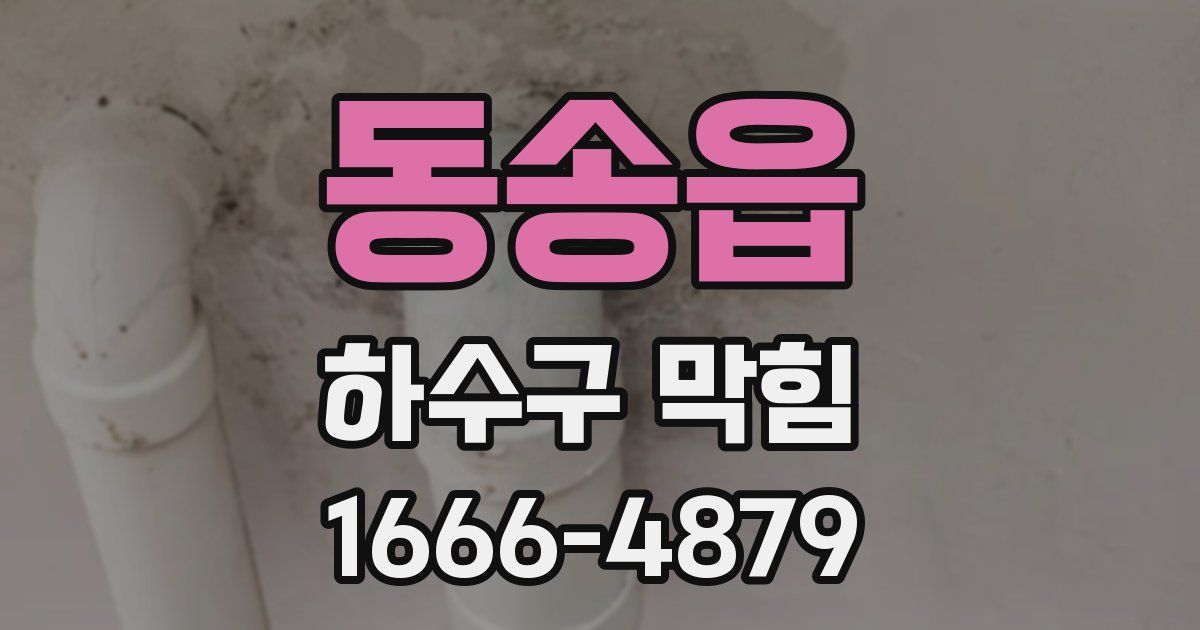 동송읍 하수구 막힘