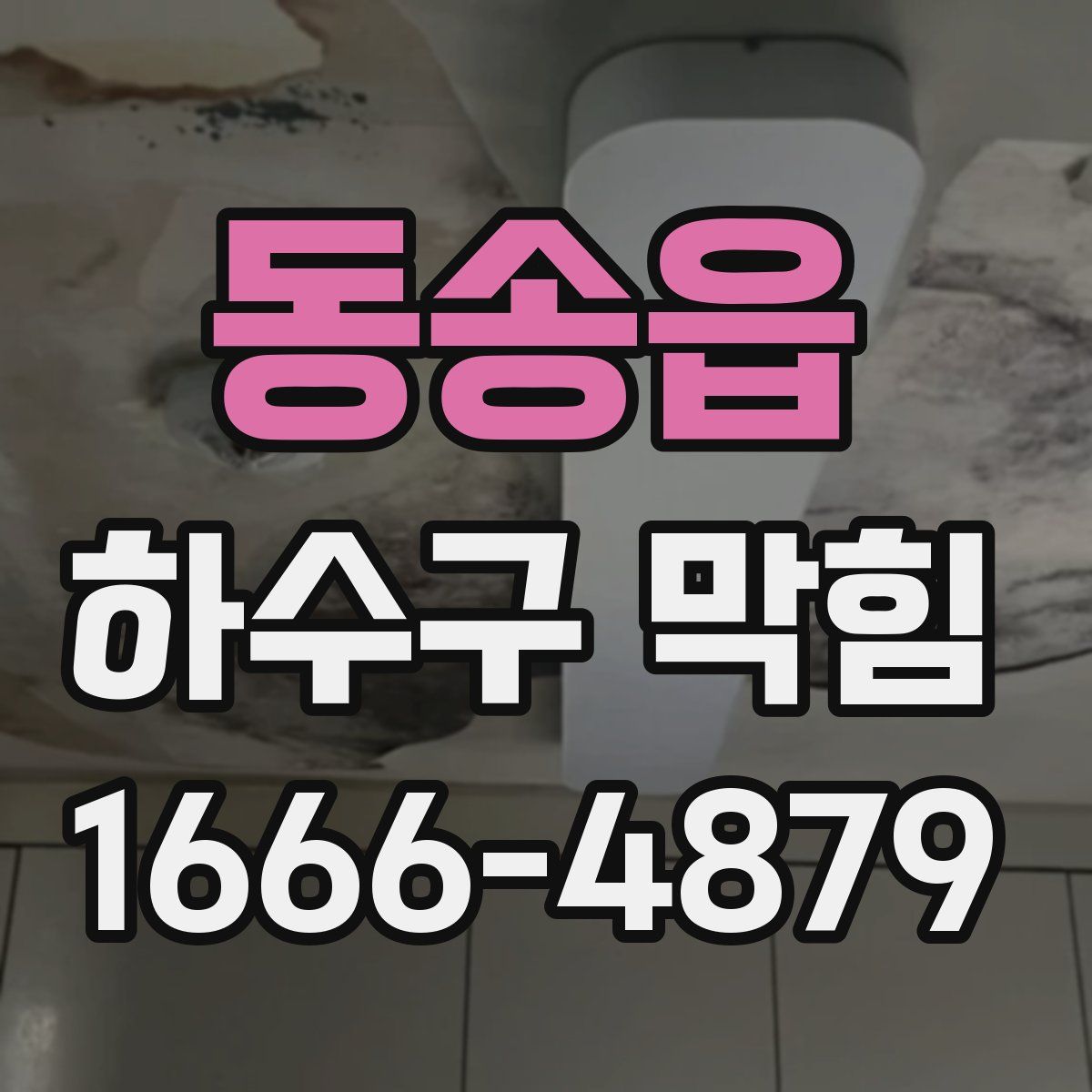 동송읍 하수구 막힘
