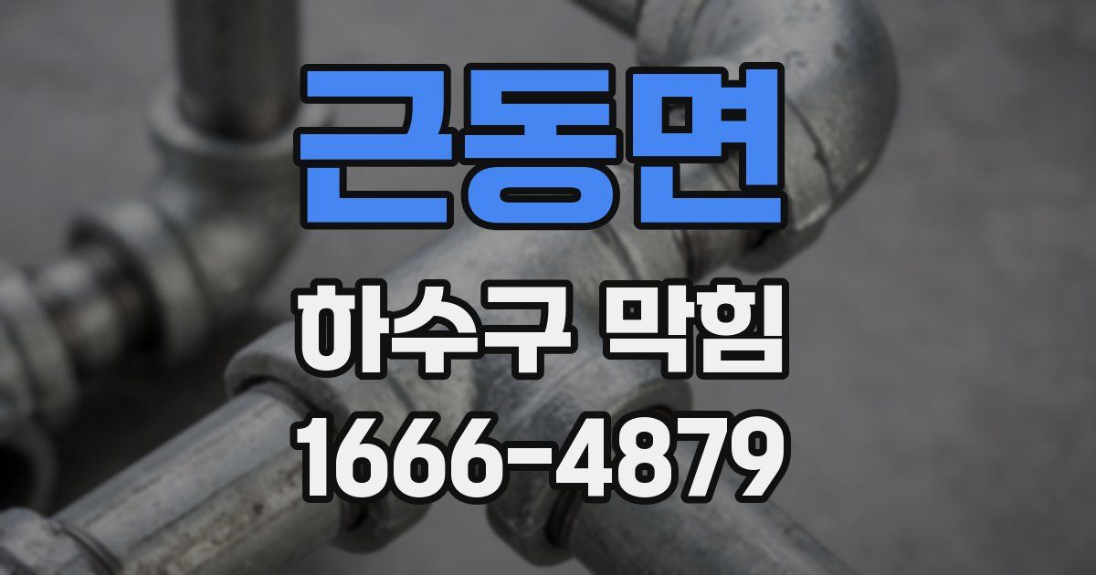 근동면 하수구 막힘