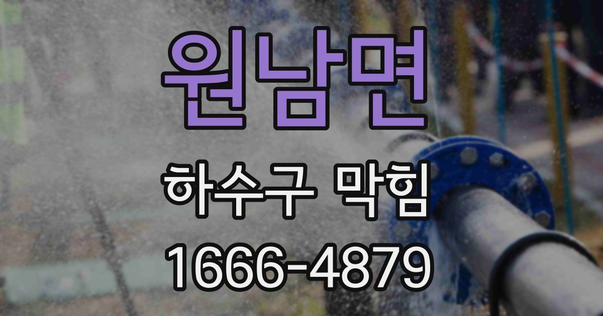 원남면 하수구 막힘