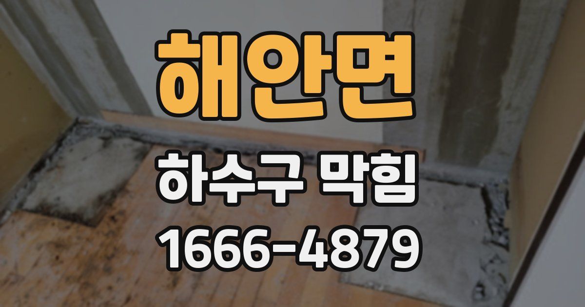 해안면 하수구 막힘