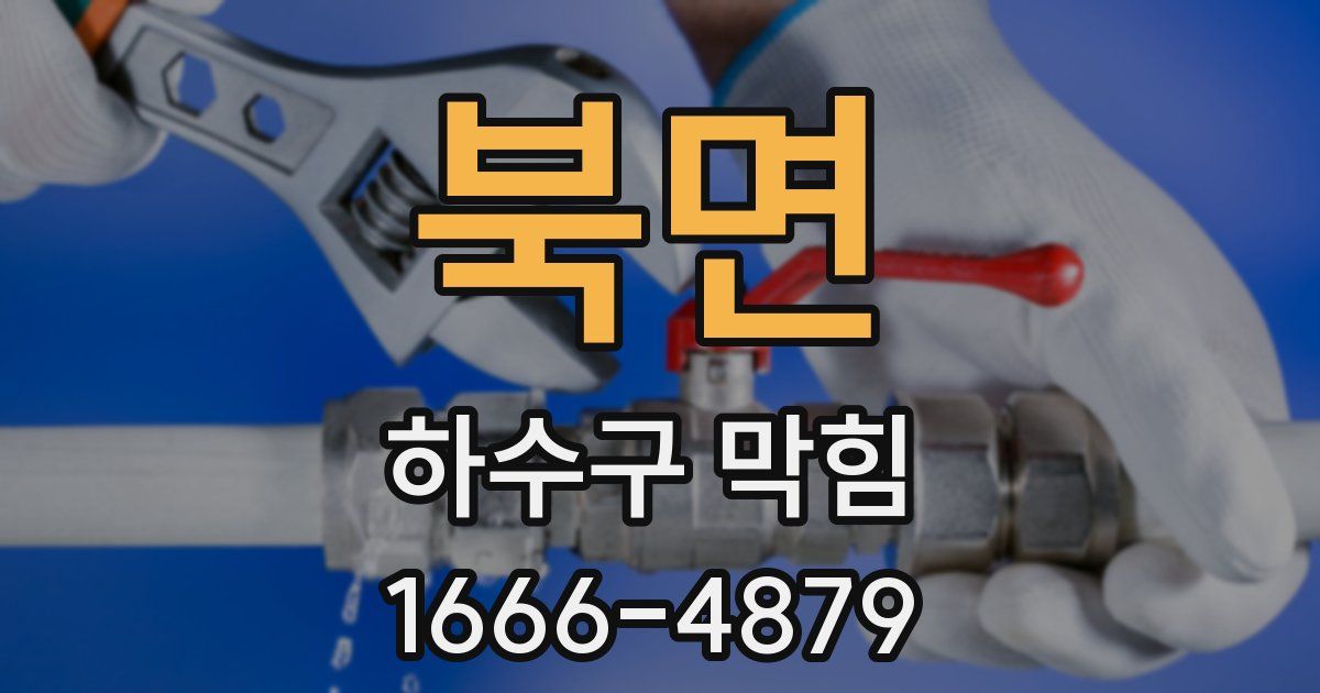 북면 하수구 막힘