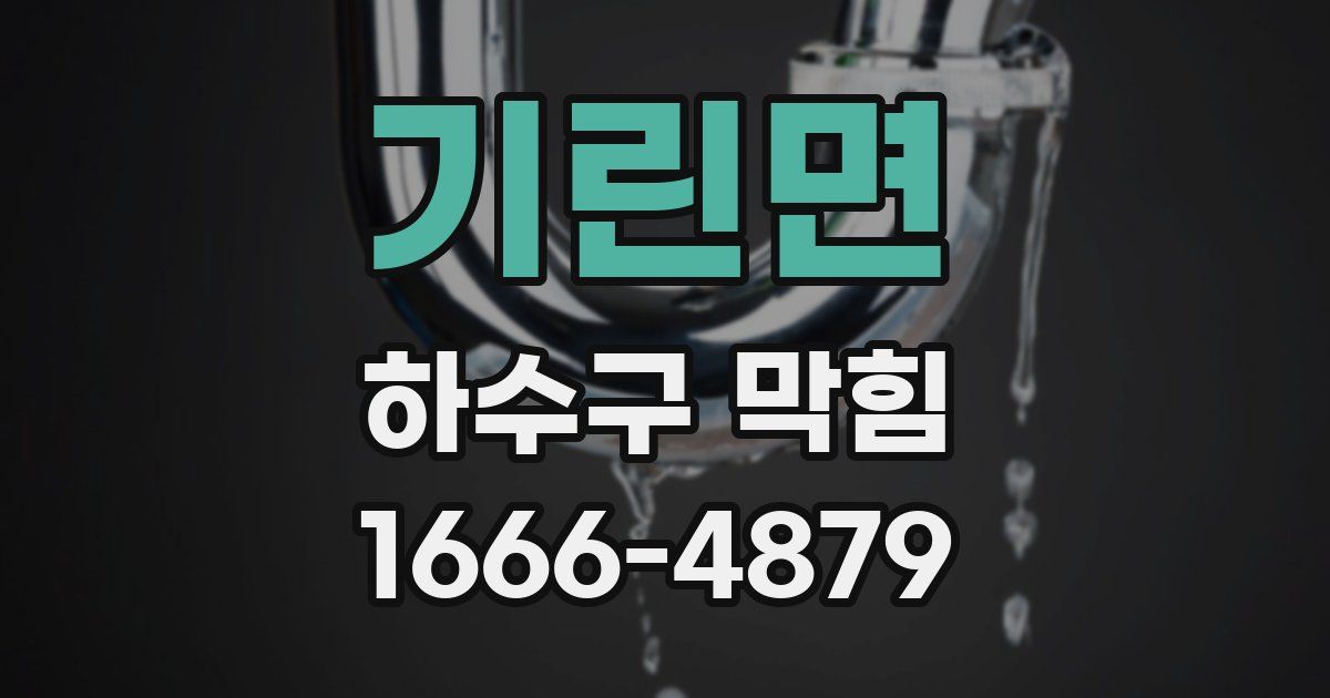 기린면 하수구 막힘