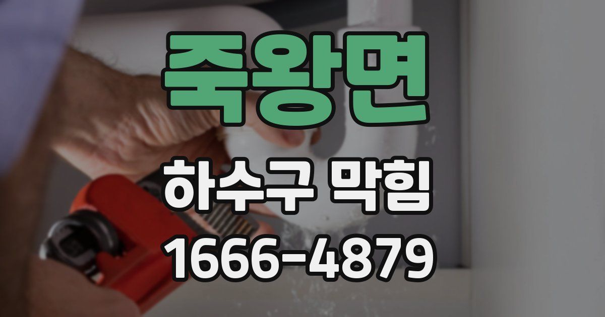 죽왕면 하수구 막힘