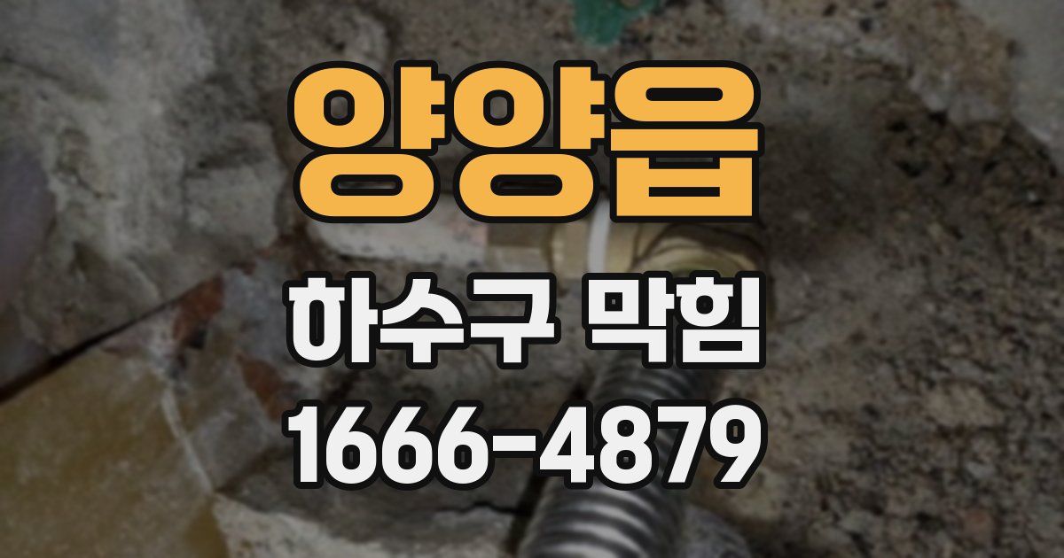 양양읍 하수구 막힘