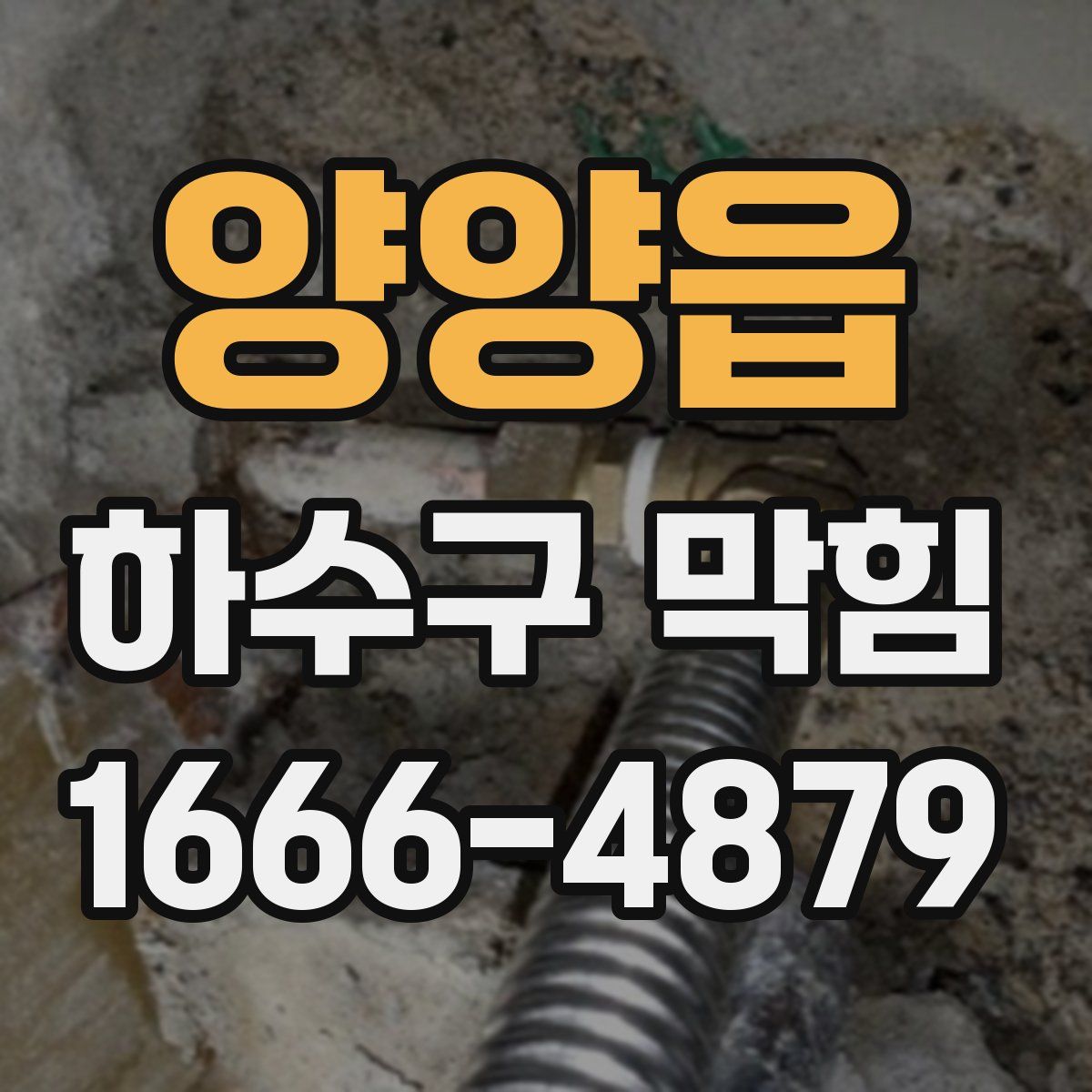 양양읍 하수구 막힘