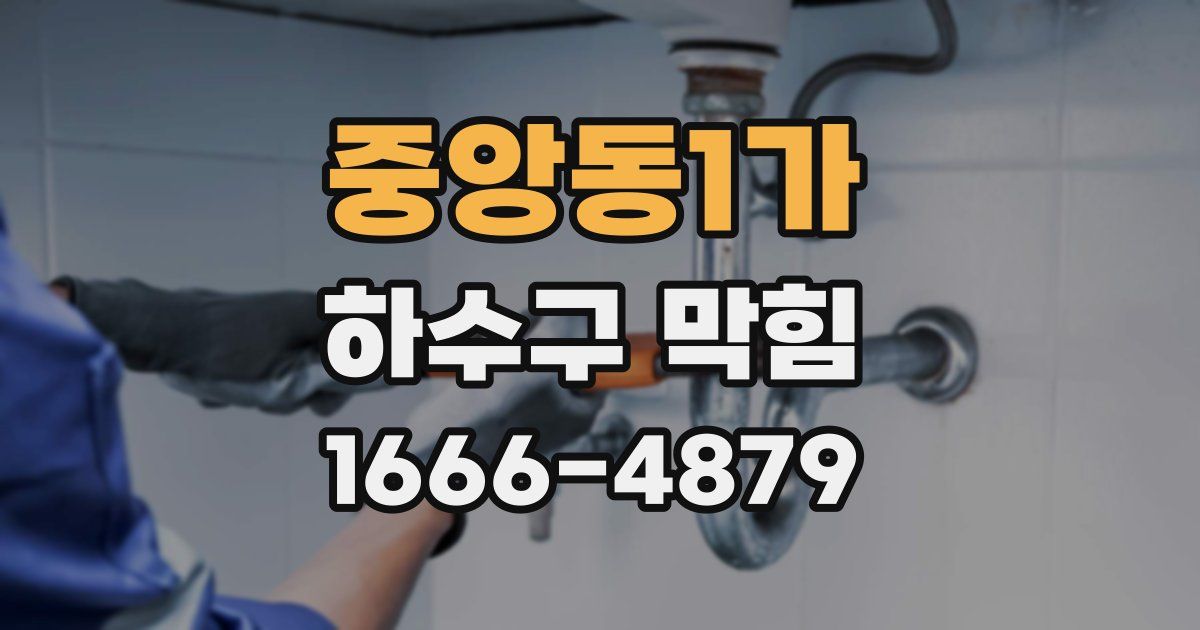 중앙동1가 하수구 막힘