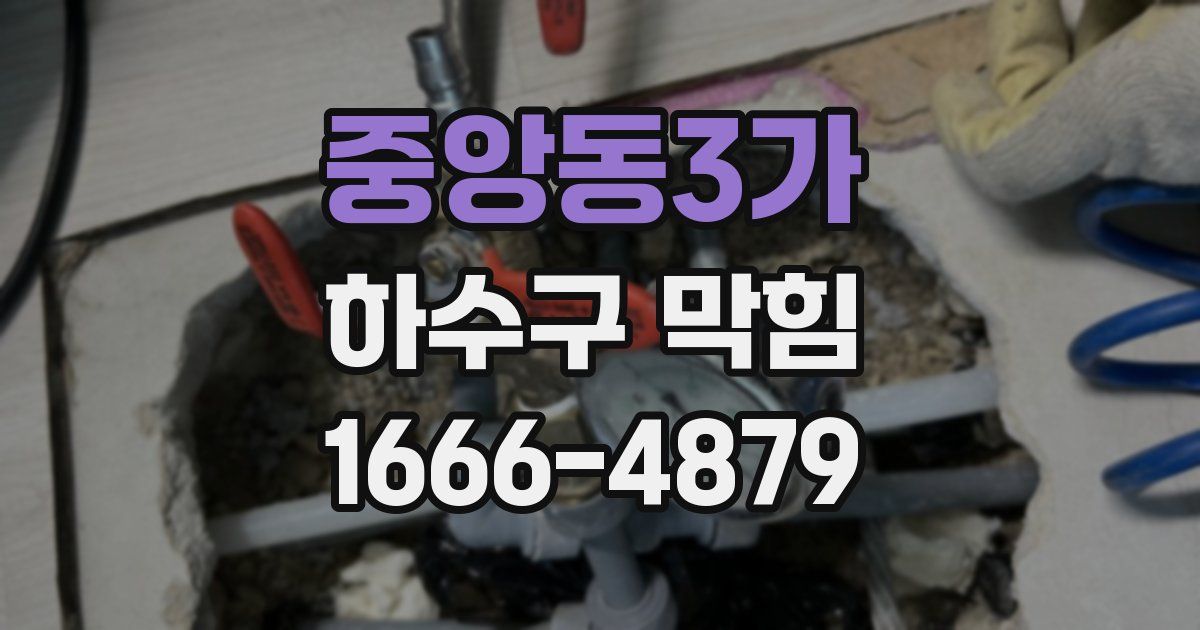 중앙동3가 하수구 막힘