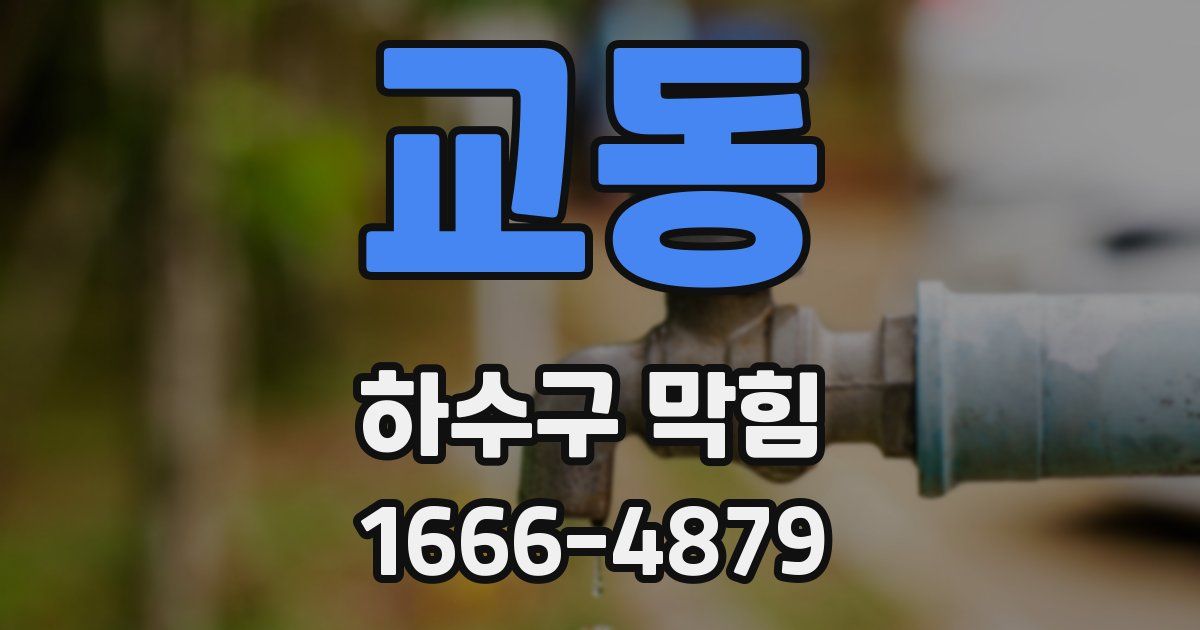 교동 하수구 막힘