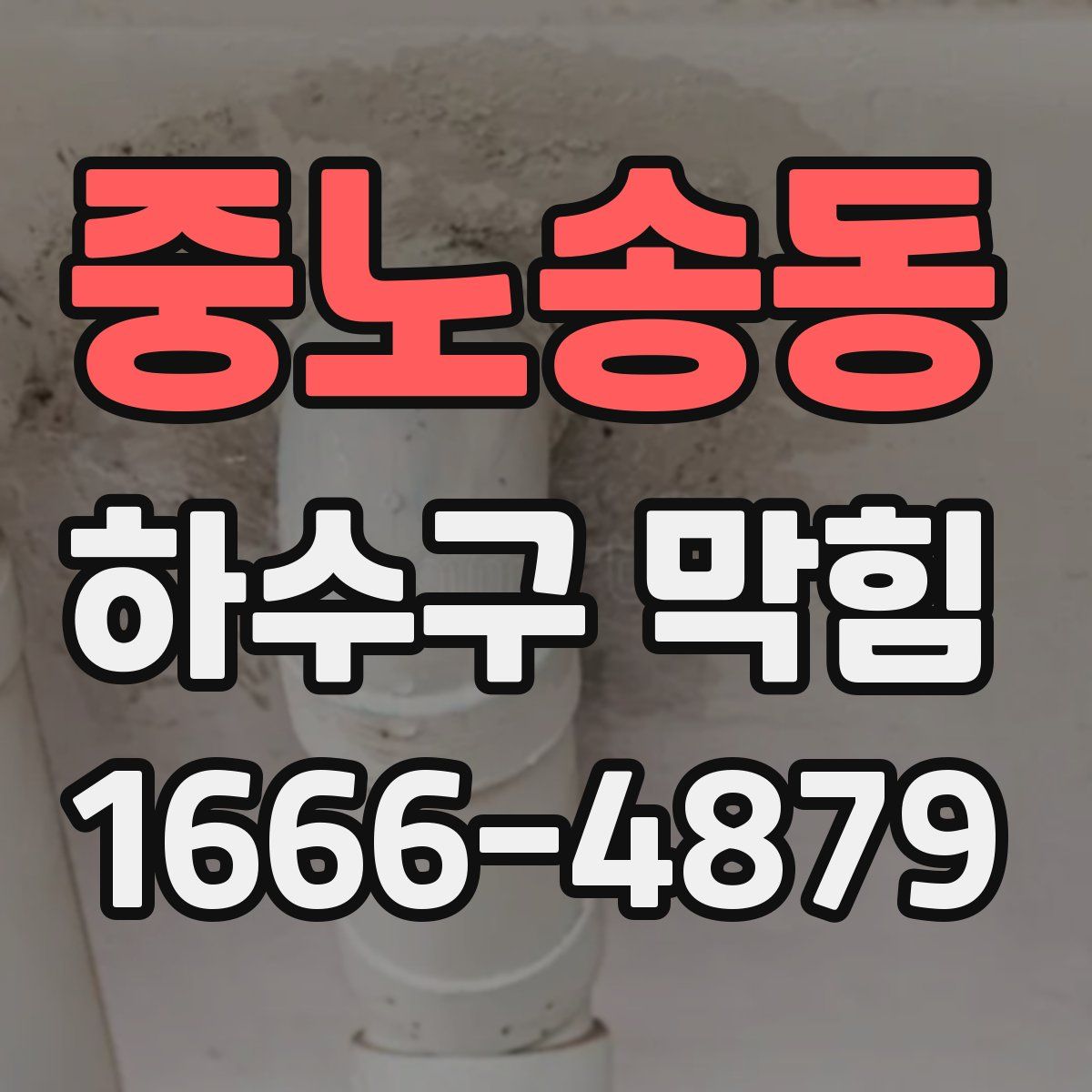 중노송동 하수구 막힘