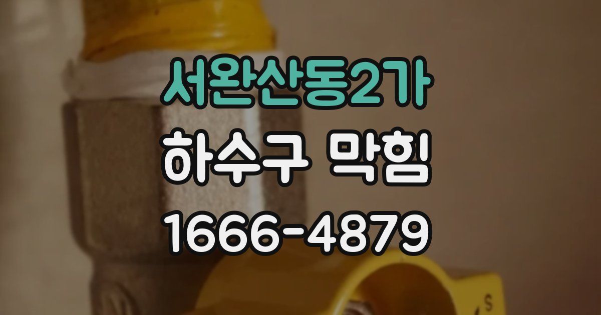 서완산동2가 하수구 막힘