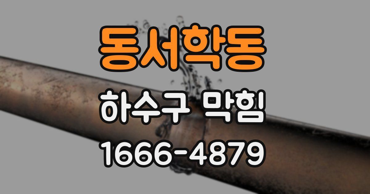 동서학동 하수구 막힘