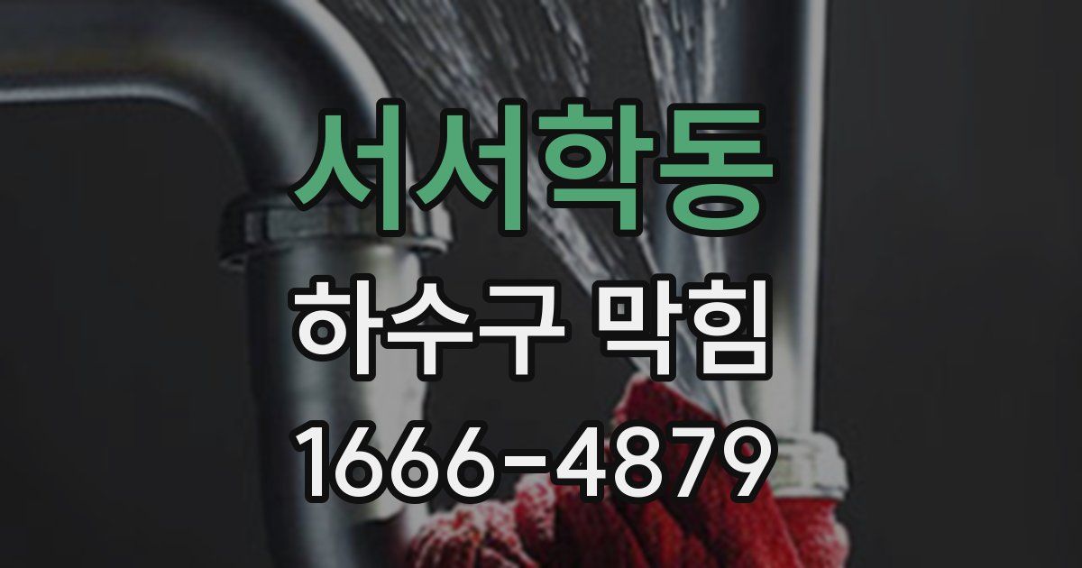 서서학동 하수구 막힘