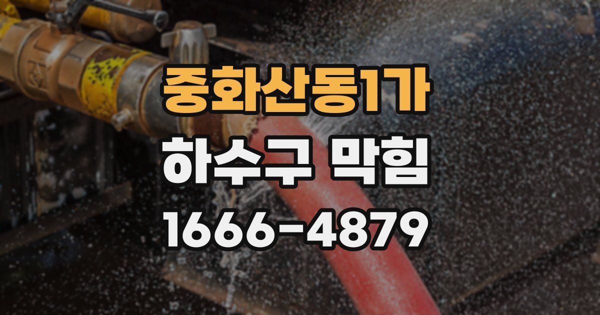 중화산동1가 하수구 막힘