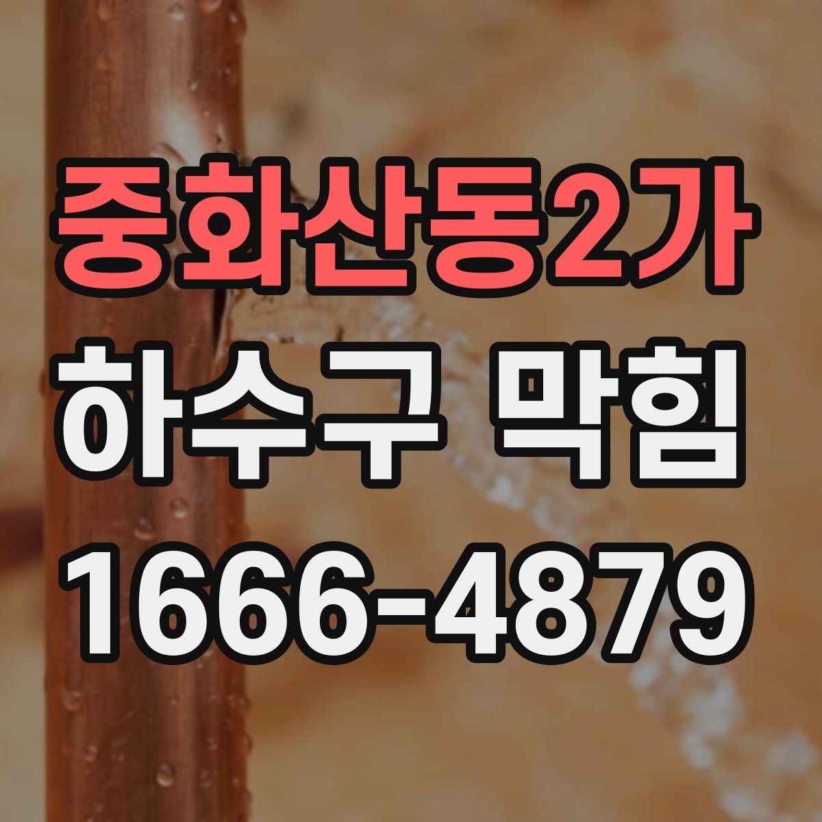 중화산동2가 하수구 막힘