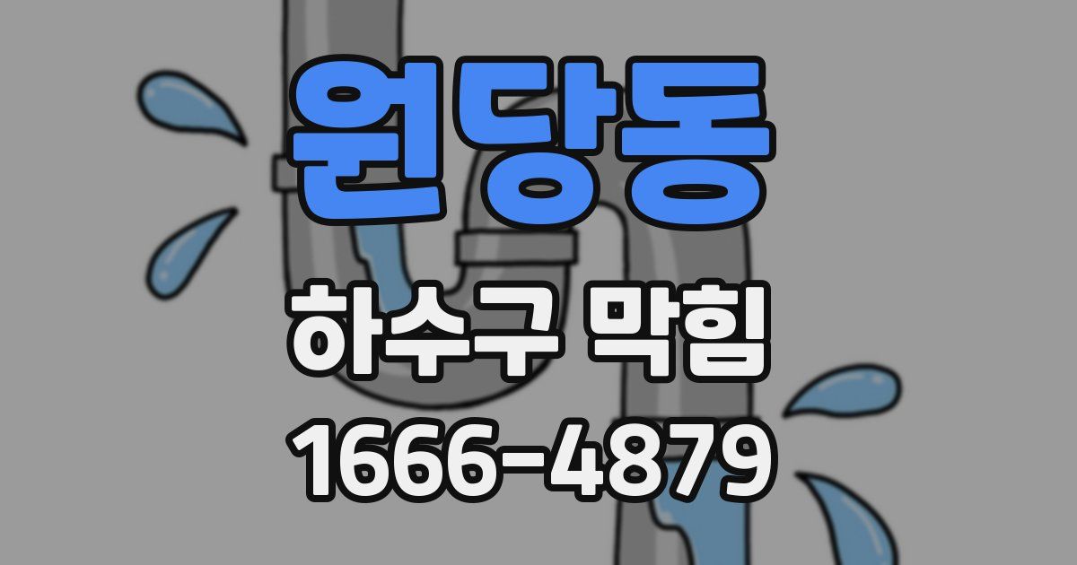 원당동 하수구 막힘