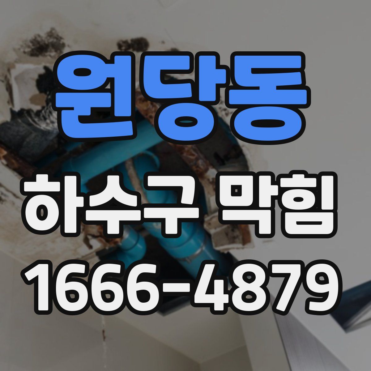 원당동 하수구 막힘