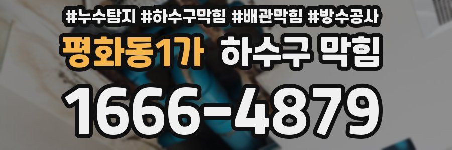 평화동1가 하수구 막힘