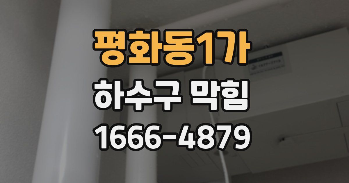평화동1가 하수구 막힘