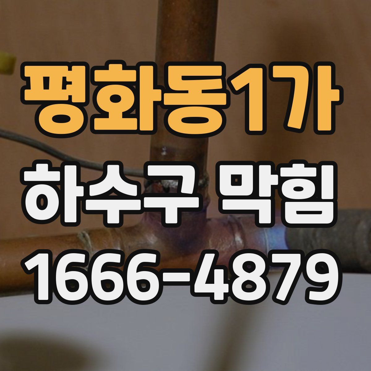 평화동1가 하수구 막힘