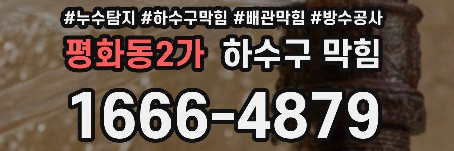 평화동2가 하수구 막힘