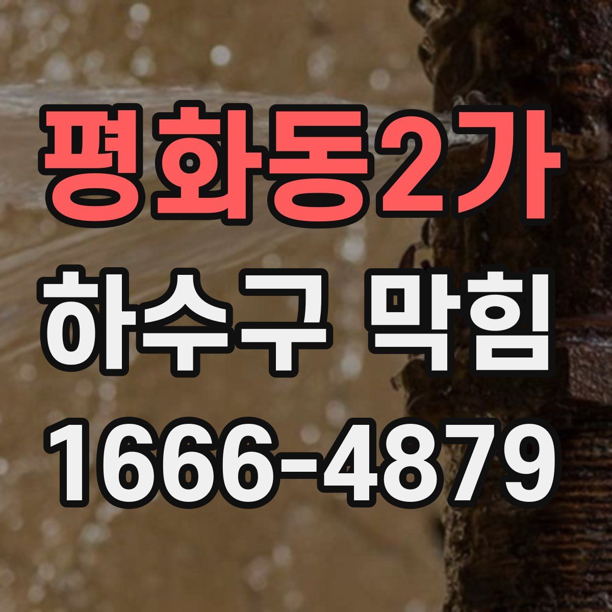 평화동2가 하수구 막힘