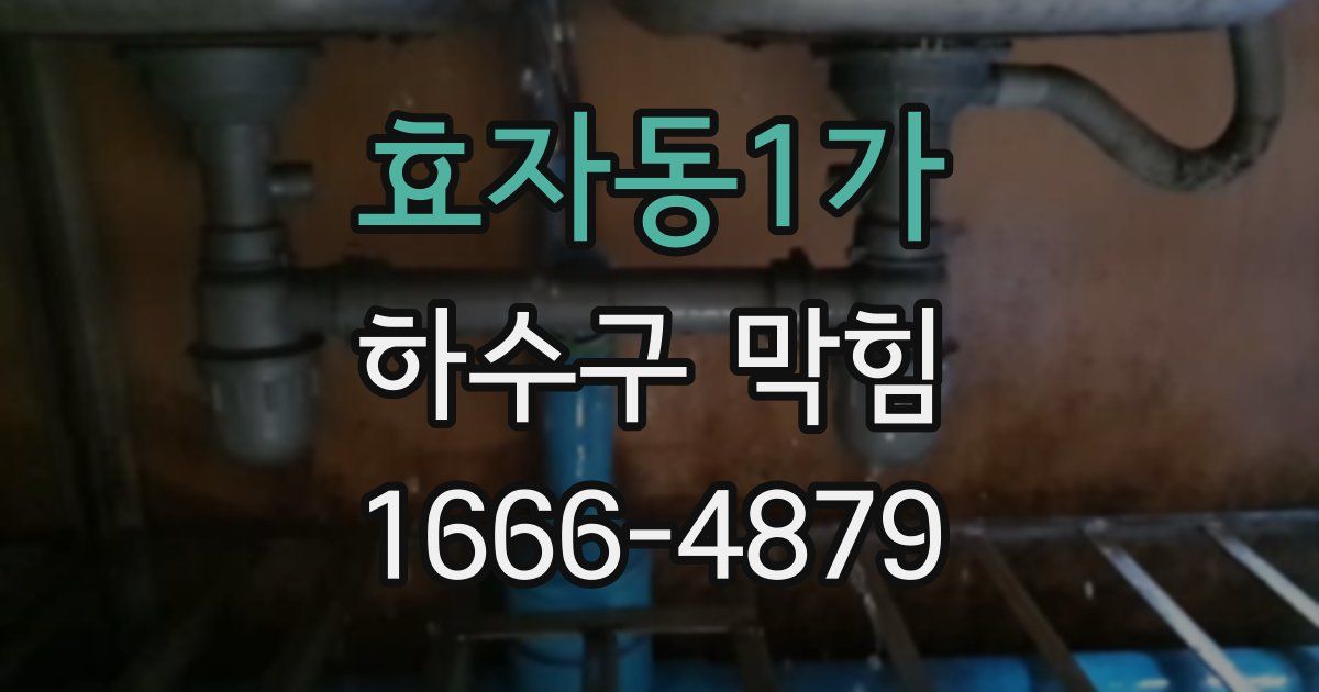 효자동1가 하수구 막힘