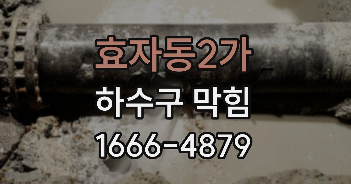 효자동2가 하수구 막힘