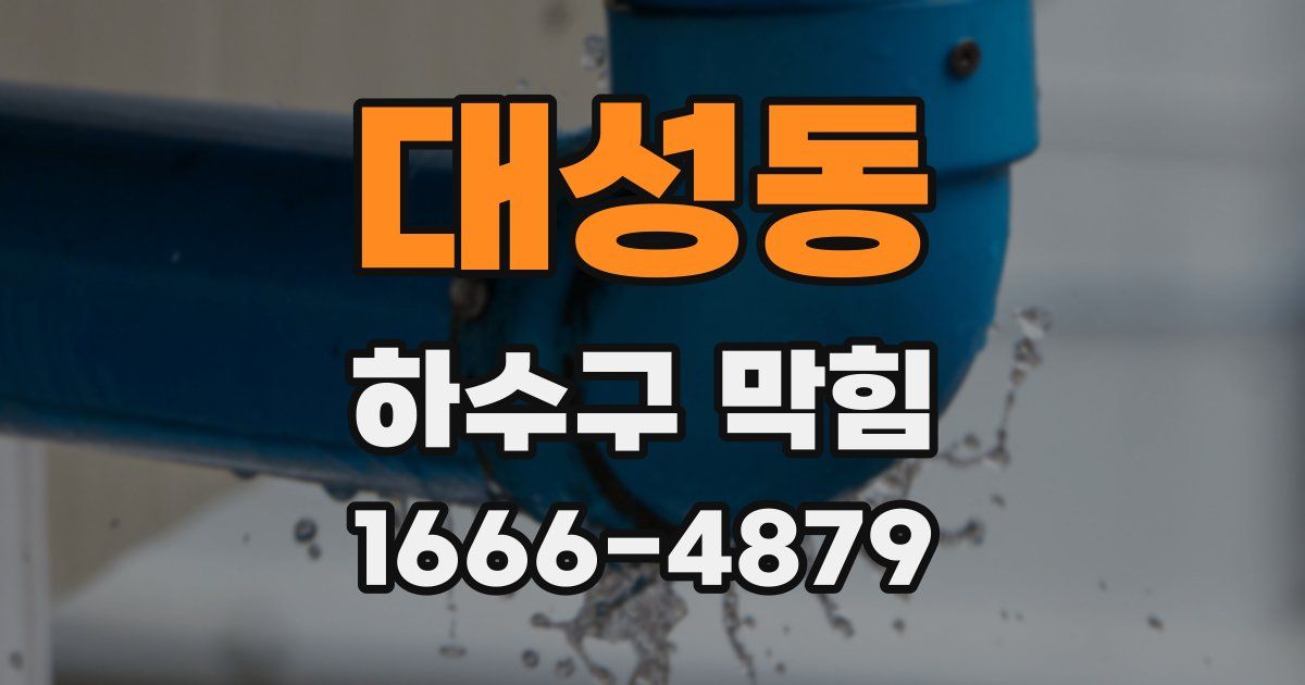 대성동 하수구 막힘