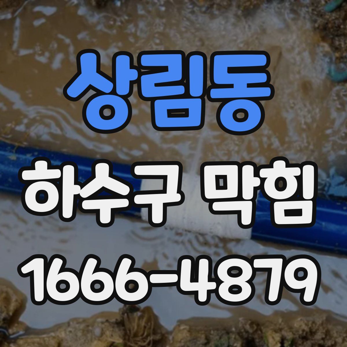 상림동 하수구 막힘