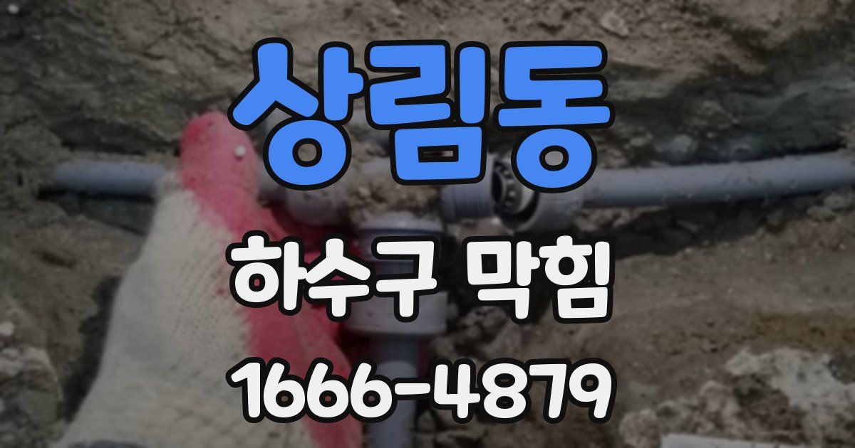 상림동 하수구 막힘