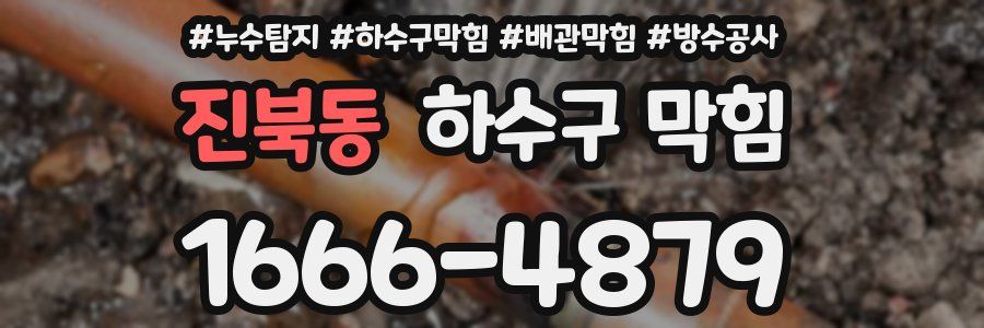 진북동 하수구 막힘