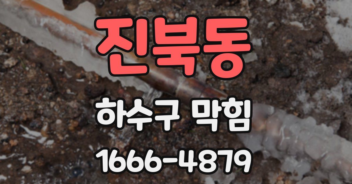 진북동 하수구 막힘