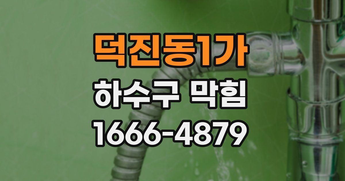 덕진동1가 하수구 막힘