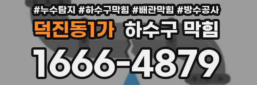 덕진동1가 하수구 막힘