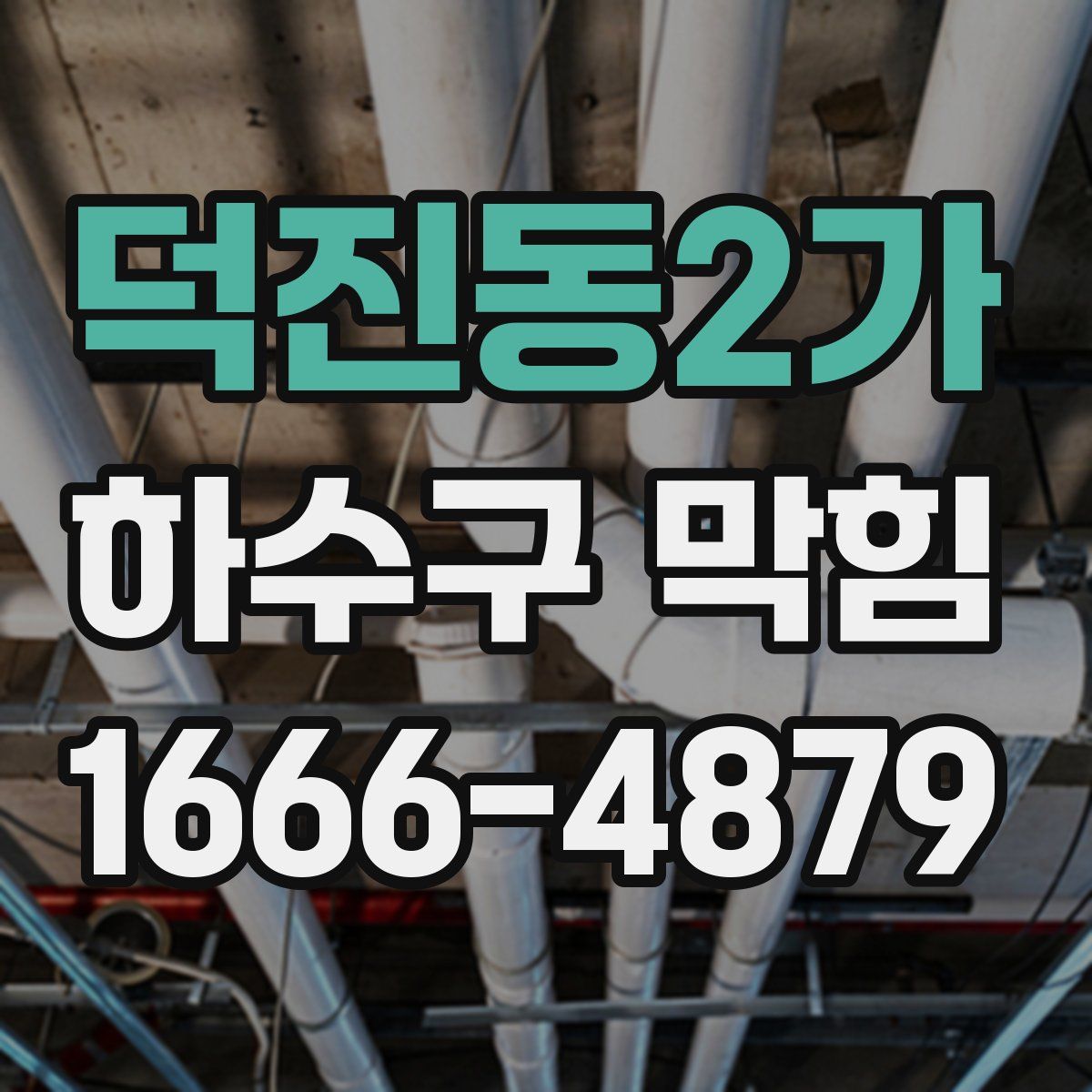 덕진동2가 하수구 막힘