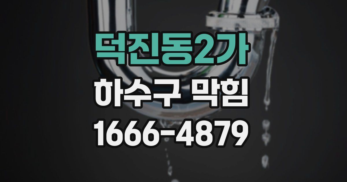 덕진동2가 하수구 막힘