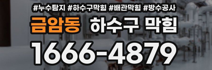 금암동 하수구 막힘