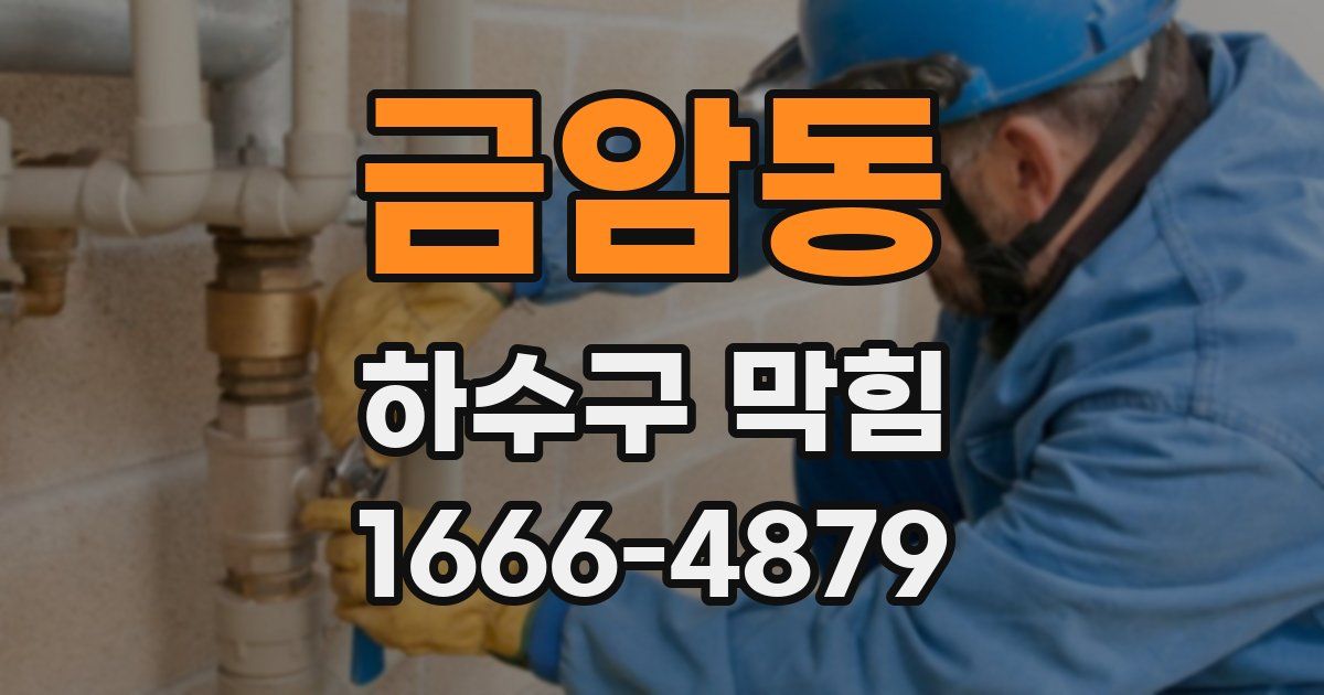 금암동 하수구 막힘
